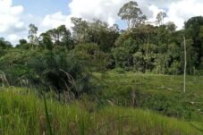 Pemerintah Kampung Bakal Pastikan Status Lahan yang Dipasarkan di Medsos