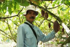 Pertambangan Terbesar Sumbang Negara, Disbun: Perkebunan Siap Gantikan Sektor SDA