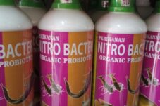 Jadi Solusi Pupuk Organik, DPRD Kutim Datangkan Nitrobakteri untuk Petani