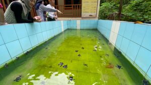 12E MANUSIA MASIH 1