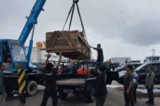 Buaya 4,77 Meter Sudah Tiba di Tarakan, BKSDA: Kemungkinan Dijadikan Indukan