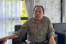 DLHK – Pertamanan – PLN Pangkas Pohon, Daunnya Diolah Jadi Kompos