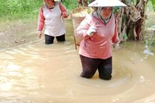 Hujan di Hulu, Kawasan Nyapa Indah Langsung Kebanjiran