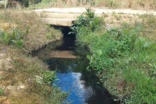 Diduga Cemari Anak Sungai, PT BAA: Hanya Air Boiler Bukan Limbah