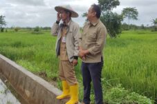 Profuktif Produksi Jagung, Berau Kecipratan Bantuan Bibit dari Kementerian Pertanian