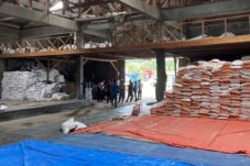 Beras PNS Distop, Petani Lokal Alami Keterlambatan Masa Panen