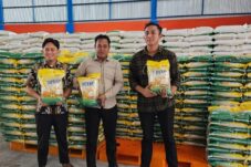 El Nino Biang Kerok Petani Lokal Kesulitan Panen Beras PNS
