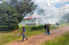 Musim hujan, Madri Minta Dinkes Lakukan Fogging di Lokasi Rawan DBD