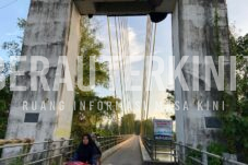 Bersarang di Jembatan, Gerombolan Tawon Dikhawatirkan Serang Warga