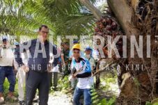 Ketua Komisi lll Berharap Harga Sawit di Pesisir Bisa Mengalami Kenaikan