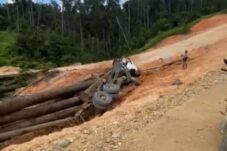Laka Kerja di Areal PT Inhutani Telan Korban Jiwa