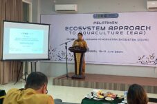 Wilayah Berau Miliki Potensi Besar Pengembangan Sektor Perikanan