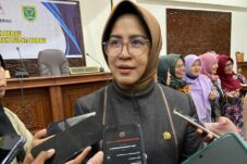 Syarifatul: Kesehatan Bayi dan Ibu Pasca Melahirkan Harus Jadi Prioritas Daerah