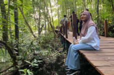 Tarif Masuk Destinasi Bagian dari Upaya Menjaga Kelestarian Wisata di Berau