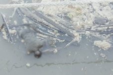 Pemilik Speedboat yang Berputar-putar di Batu-Batu Ditemukan Meninggal