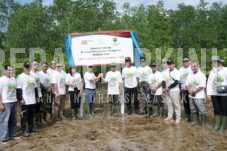Lestarikan Hutan Bakau, PT ABL Luncurkan Program CSR Tanam 2.000 Mangrove