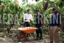 Kakao Ditetapkan Sebagai Produk Unggulan Berau, Ini Alasannya