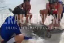 Interaksi Berlebihan Timbulkan Stres, BKSDA Kaltim Rencanakan Wisata Ramah Satwa