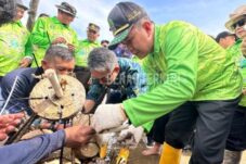 Ketua DPRD Kutim Ikuti Aksi Penanaman Terumbu Karang dan Mangrove di Pantai Teluk Lingga