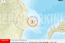 Berau Diguncang 21 Kali Gempa Bumi, BMKG: Akibat Aktivitas Sesar Mangkalihat