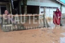Hutan di Hulu Sungai Dibabat Perusahaan, Disebut Dalangi Banjir Besar Kampung Suaran