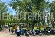 Pohon Hutan Kota tak Boleh Dijadikan Sarana Kampanye di Tahun Politik