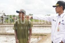 Data BPS 2023, Jumlah Petani Milenial di Berau Capai 9.798