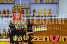 zenvin berauterkini