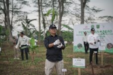 Pj Gubernur akmal Malik, berauterkini