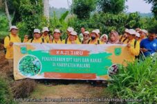 Petani Kopi Berau, Berauterkini