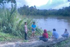 Anak Tenggelam, berauterkini