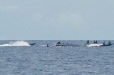 Minta Pengawasan Diperketat, DPRD Terus Soroti Maraknya Illegal Fishing di Perairan Berau