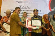 Batik Motif Penyu Rotan Seraun, berauterkini