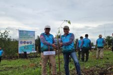 Manfaatkan Lahar Tidur, 25 Hektare Lahan di Merancang Ilir Ditanami Pohon dan Buah