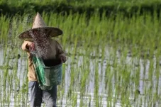 Petani Transmigran Berpotensi Raup Rp20 Juta Sebulan