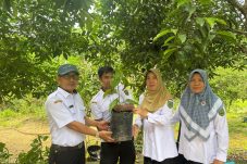 Bantu Tekan Inflasi, Dinas Pangan Berau Bagikan 7 Ribu Bibit Cabai