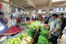 Harga Cabai Rawit Semakin Pedas, Tembus Rp250 Ribu Per Kilogram