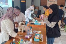 Cegah Rabies, DTPHP Berau Gandeng Komunitas Pecinta Hewan Gelar Vaksinasi Gratis
