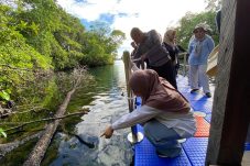 Setahun Ditutup, Pulau Kakaban Siap Sambut Wisatawan Bulan Depan