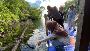 Setahun Ditutup, Pulau Kakaban Siap Sambut Wisatawan Bulan Depan