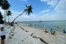 Kantongi Izin Kementerian LHK dan PUPR, Pemkab Berau Segera Bangun Pengaman Pantai di 4 Pulau