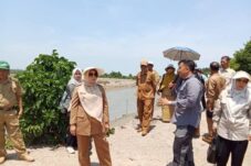 Ekspor Perikanan Melesat, Berau Siapkan Smart Farming Udang Windu Ramah Lingkungan