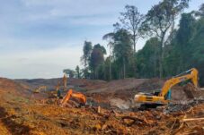 Minta Aparat Bertindak, Pemuda Tani Kaltim Kecam Tambang Ilegal Rambah Hutan Pendidikan Unmul