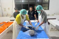 Punya Riwayat Sakit, Herman Ditemukan Tinggal Kerangka di Pondok Kebun KM 48 Bulungan-Berau