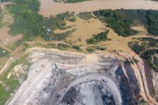 Dana Reboisasi Berau Cukup untuk Hijaukan Hutan, KPHP Berau Barat: Panduan Sudah Ada, Tinggal Ngopi Bareng