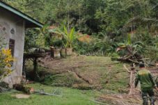 Tanah Bergerak di Gunung Tabur Rusak Satu Rumah, Bermula Suara Ledakan Kini Mencuat hingga 3 Meter