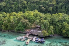 Pulau Kakaban, Kecamatan Maratua, Kabupaten Berau. (Kemenpar)