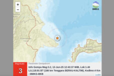 Berau Kembali Digoyang Gempa, Kekuatan Hanya 3,2 Magnitudo Tak Ada Potensi Tsunami