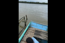 Lagi dan Lagi, Warga Kampung Kasai Diterkam Buaya, Korban Masih dalam Pencarian