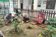 Tanaman Obat Keluarga Bisa Jadi Penyelamat di Situasi Darurat